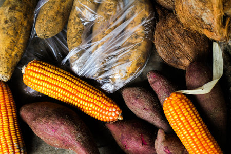 harvested corn and sweet potatoes
