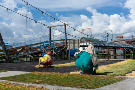 The process of drying Purun lake (Lepironia articulata) in the sun by women in a local village. One of the livelihoods of local residents.の写真素材