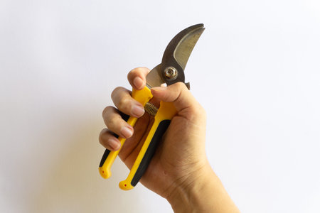 Pruning scissors. Garden trimmer. Scissors for working in the garden with various layouts isolated...