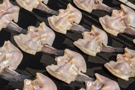The process of making salted fish or dried fish from South Kalimantan, Indonesia, which is dried in...