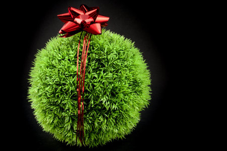 Green grass ball with red bow and ribbon over it, a gift fot the earth