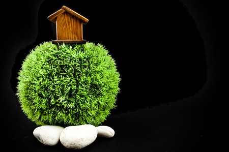 Wooden house on evergreen world with white stonesの写真素材