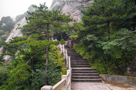 Mountain stairs path into forest, Huangshan, Chinaの写真素材