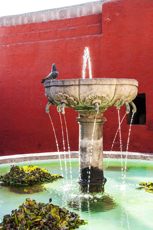 Santa Catalina Monastery in Arequipa fountain with a pidgeon on it, Peruの写真素材
