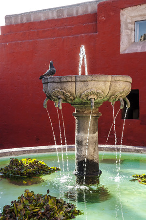 Santa Catalina monastery fountain in Arequipa with a pidgeon on it, Peruの写真素材
