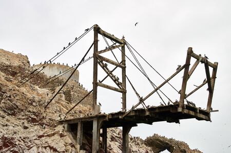 Birds on platform Ballestas Islands, Paracas, Peru old bridge pierの写真素材