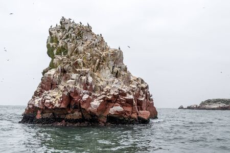 Wild birds on rocky formation ballestas island, paracas, Peruの写真素材