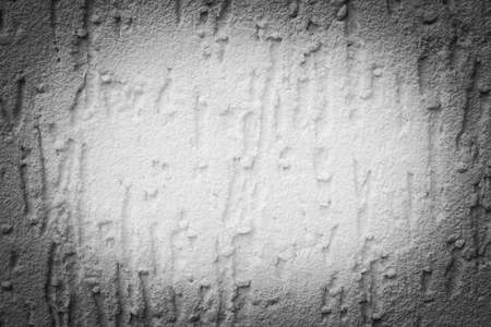 White grey sharp texture background. Abstract pattern. Background, plaster, building stucco conceptsの写真素材