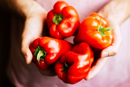 Fresh organic red peppers in mans handsの写真素材