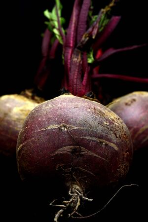 Freshly picked organic beetroot on a black backgroundの写真素材