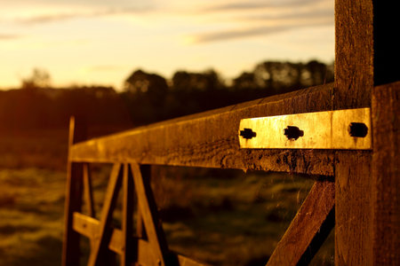 Wooden farm gate at sunrise