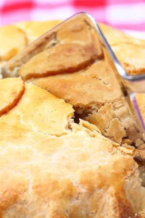 An apple pie being sliced outdoor on gingham tableclothの写真素材