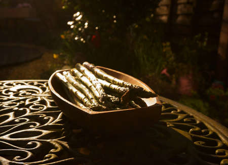 Freshly picked asparagus in a wooden dish on a garden table outdoorsの写真素材