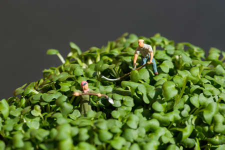 Miniature scale model gardeners working on cressの写真素材