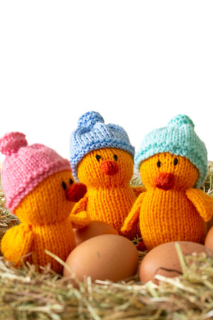 Knitted chicken chicks toy with hats on and eggs.  With a meadow hay straw grass background