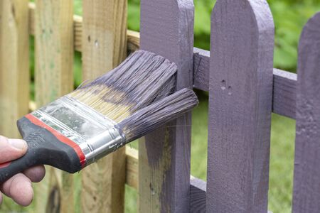 Man painting a wooden picket fence with purple wood stain and brush in a gardenの写真素材