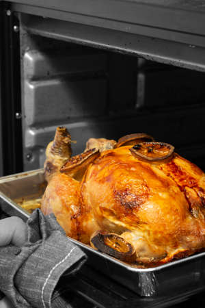 Man taking whole cooked chicken out of an oven with tea towel.の写真素材
