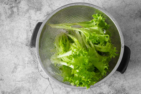 Washed lettuce, Lollo Biondo, in a stainless steel colander.  On a concrete backgroundの写真素材