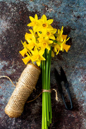 Bunch of daffodils tied with string with cutter on a grunge backgroundの写真素材
