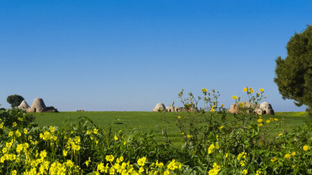 Trulli farm on the coast of Bariの写真素材