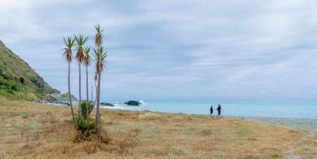 A beautiful beach on the coast of the Tyrrhenian Sea for a wonderful beach vacationの写真素材