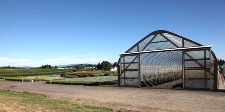 Green houses in rural Oregon. のeditorial素材