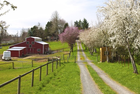 Family farm in Spring in rural Oregon のeditorial素材