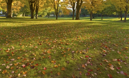 Public park panorama in Autumn colors Gresham OR の写真素材