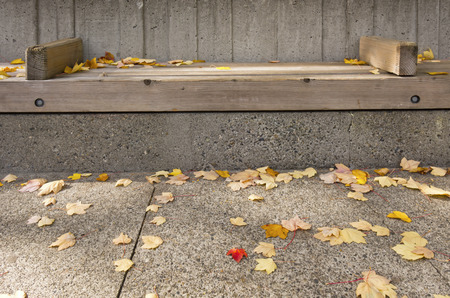 Seasonal changes in Seattle WA.の写真素材