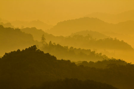 the shadow 2の写真素材