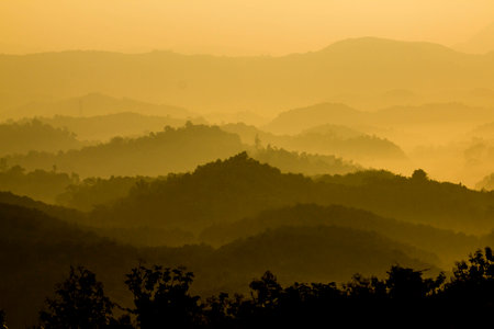 the shadowの写真素材