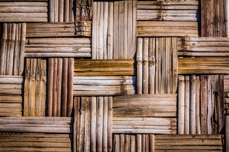 Bamboo patternの写真素材