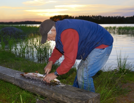 Fisherman in sunset, cleaning a fish の写真素材