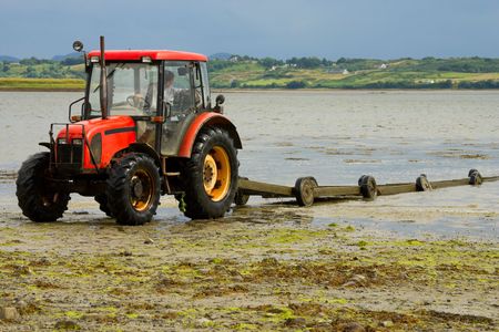 Shellfish Farm Harvestingの写真素材