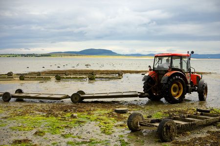 Shellfish Farm Harvestingの写真素材