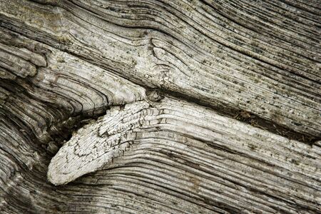 old grained staind wooden surface with knotsの写真素材