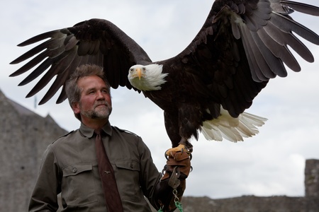 ATHENRY, IRELAND - AUGUST 21: Lothar Muschketat with Bald Headed Eagle take part at annual National Walled Towns Day  on August 21, 2011 in Athenry, Ireland.のeditorial素材