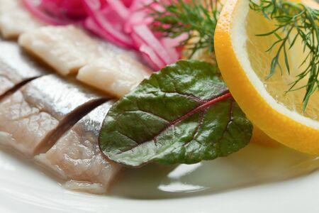 Lightly salted fillets of Herring with Red Onion, shallow DOFの写真素材