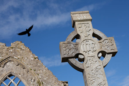 Stone cross and Athenry Dominican Friary detail,found at 1241,