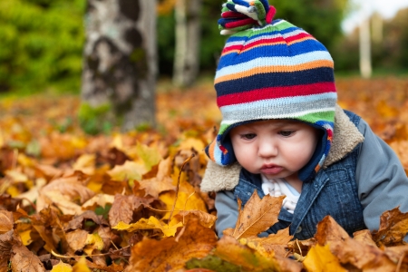baby boy in autumn leaves in the parkの写真素材