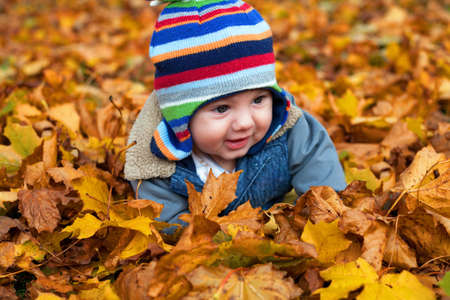 baby boy in autumn leaves in the parkの写真素材