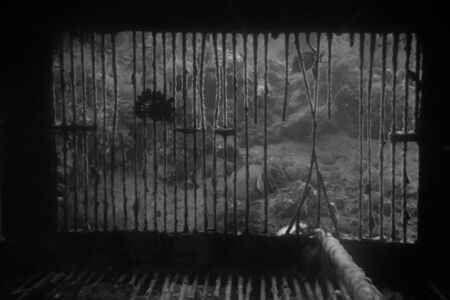 The view looking out of a piece of a buddhist shrine underwater.の写真素材