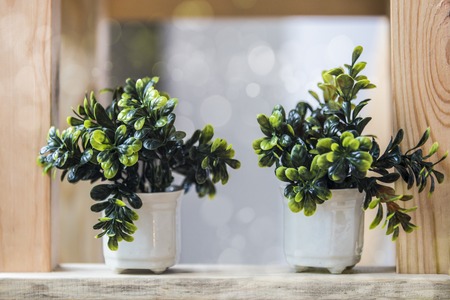 Flower in vase, vintage cardの写真素材