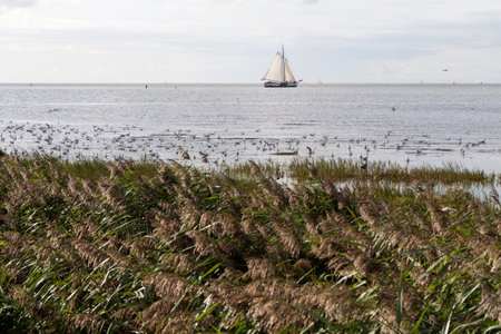 A ship near the Dutch borderの写真素材