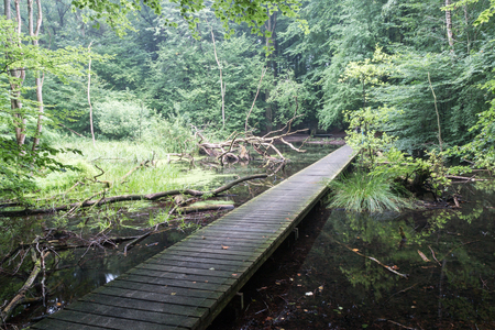 A small bridge over a lake.の写真素材