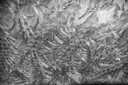 Ice on window from my car in the winter in the Netherlands. High quality photo.