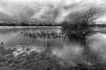 High water in the Rijn in the Netherlands. The photo is make by the city Renkum.