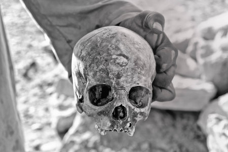 Skull from archeological site in Luxorの写真素材