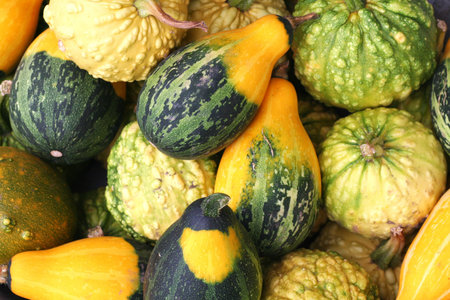 pumpkin background