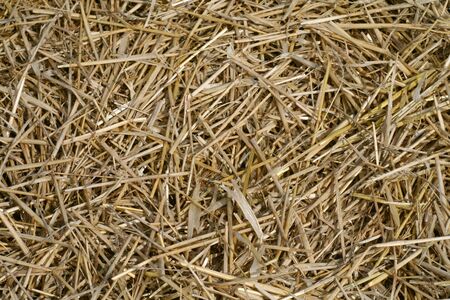 hay backgroundの写真素材